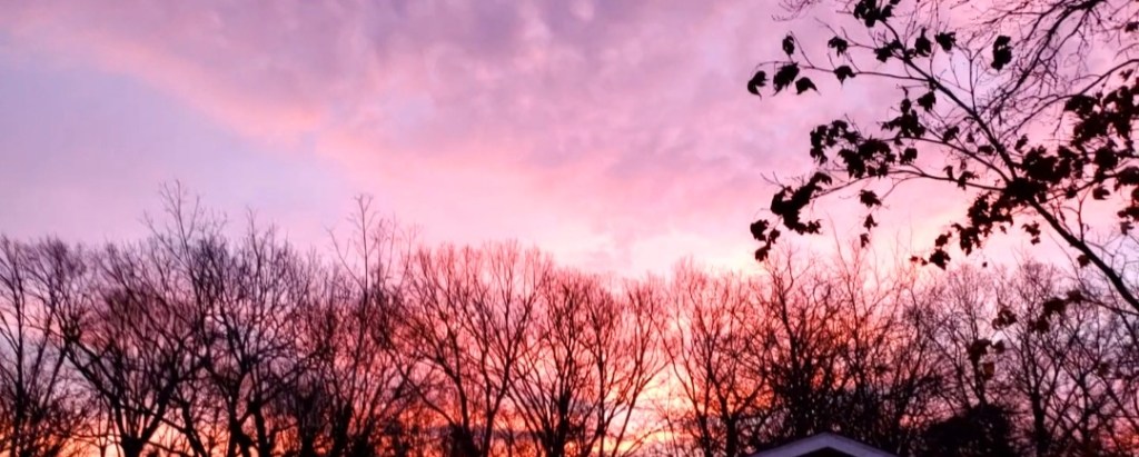 Photo Interlude, Composition&nbsp;7