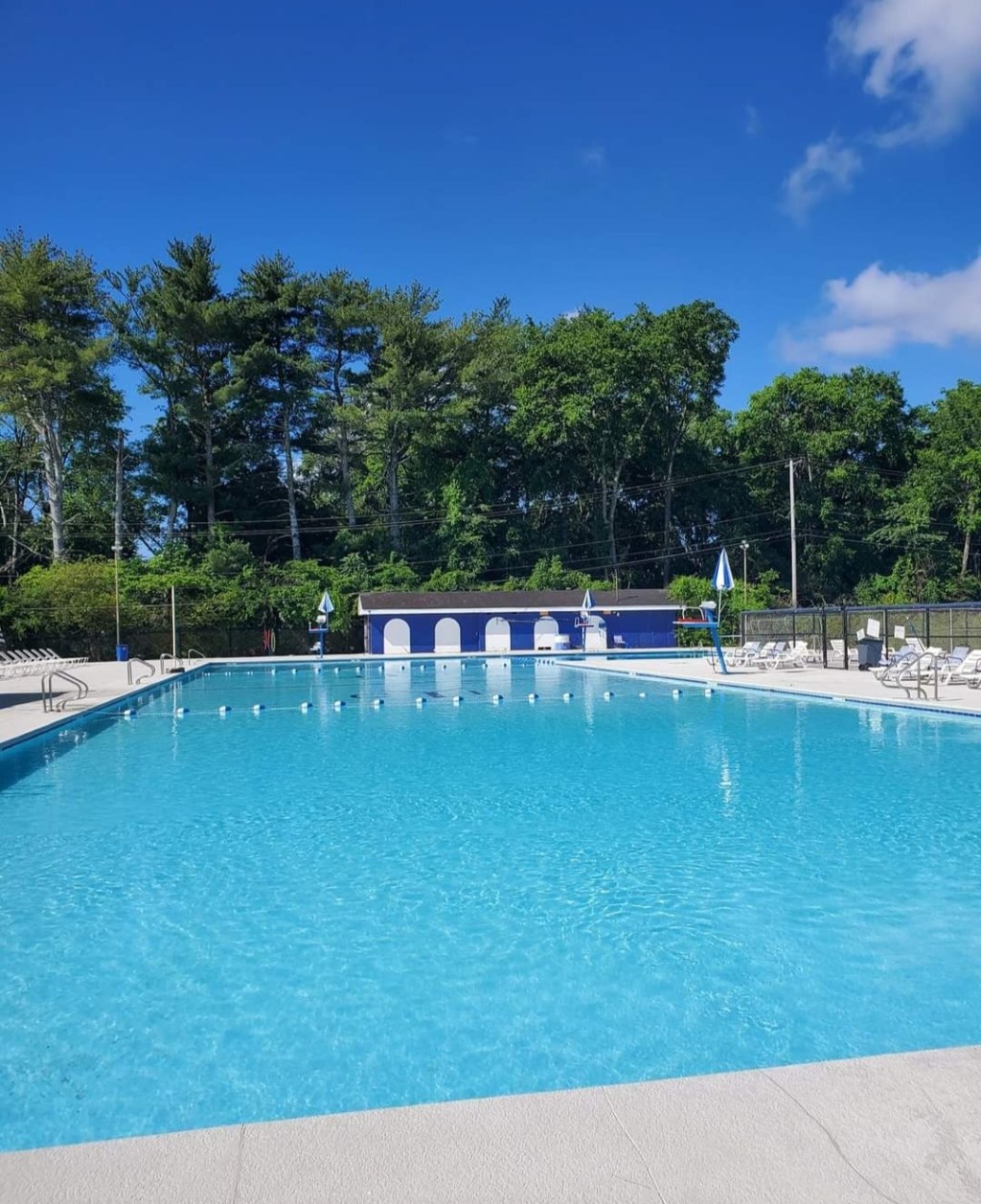 Vol.1, Chronicle 27,&nbsp;TitleIX